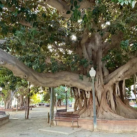 Carpe Diem Atico * Alicante