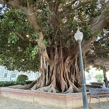 Carpe Diem Atico Lejlighed Alicante